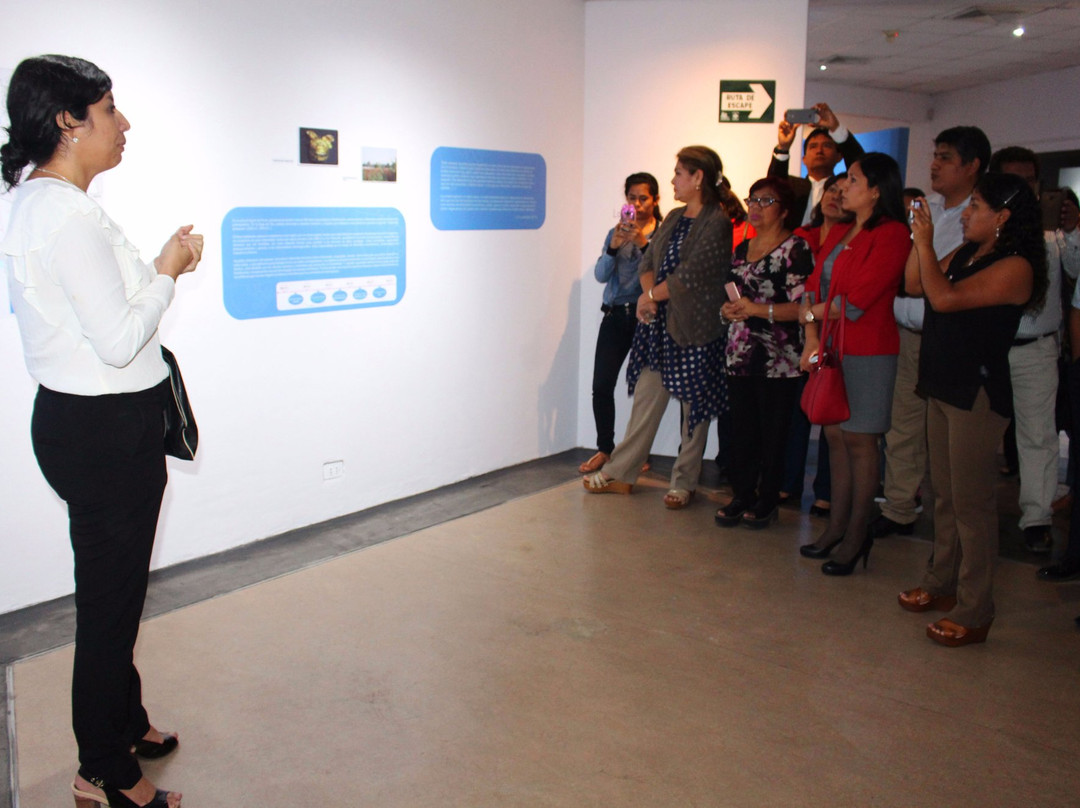 Museo Municipal Vicus-Piura必去景点