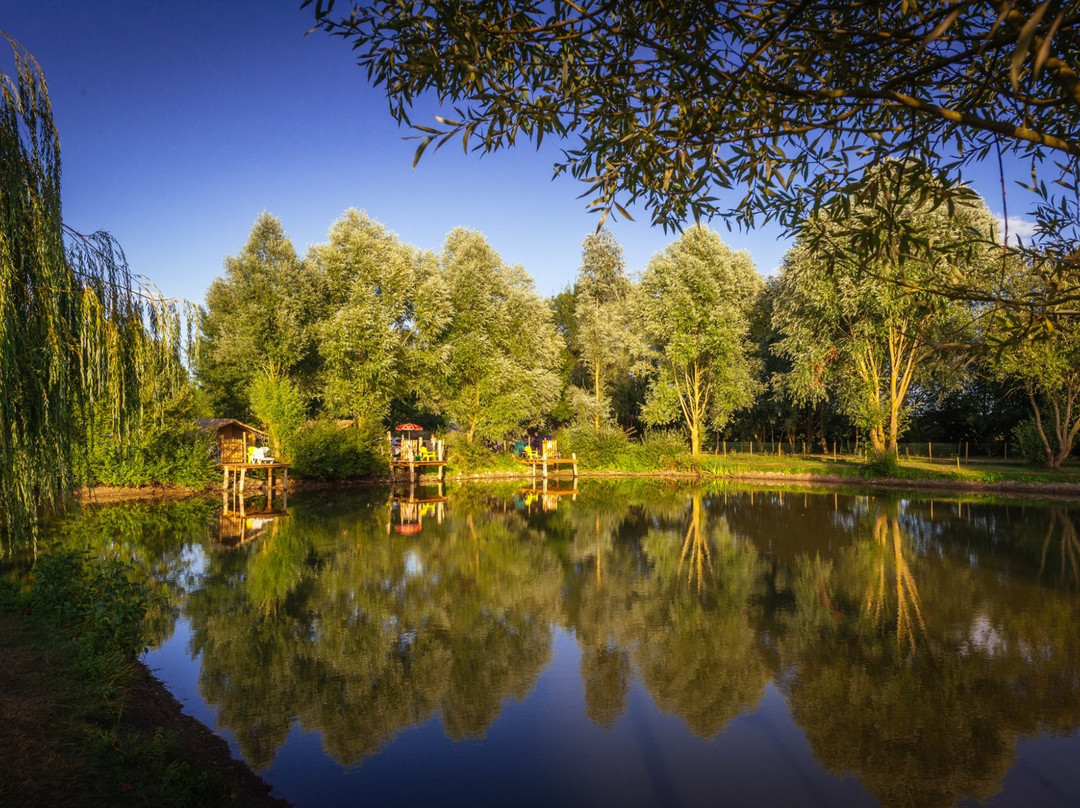 Camping de L'Etang