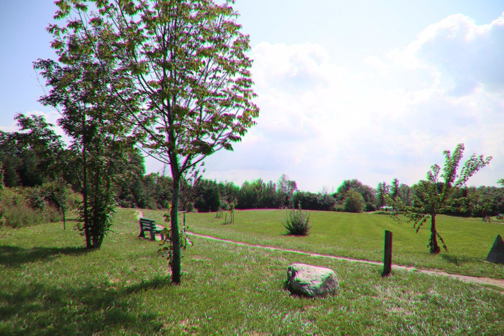 Mel Swart Lake Gibson Conservation Park-Thorold必去景点