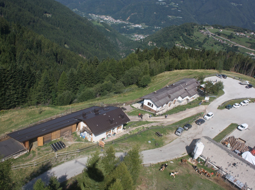 Pergine Valsugana餐馆和美食-Agritur Lares - Loc Montagna Granda