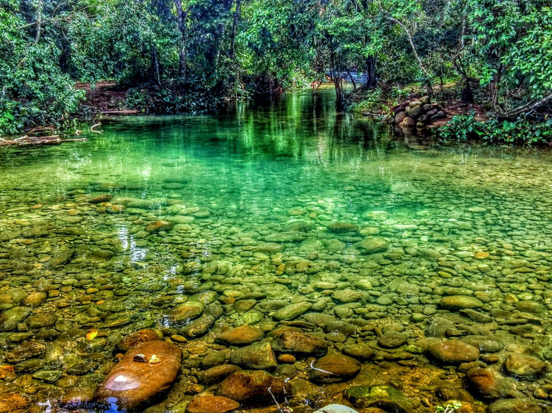 Bici Tour-San Martin必去景点