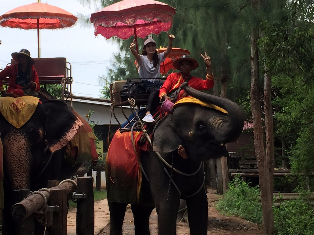Golden Thai Agency景点图片