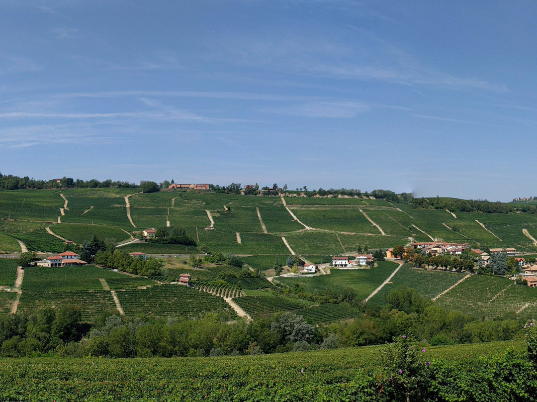 Azienda Agricola Gomba Cascina Boschetti-巴罗洛必去景点