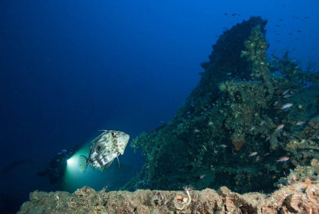 Kraken Plongée-拉西奥塔必去景点