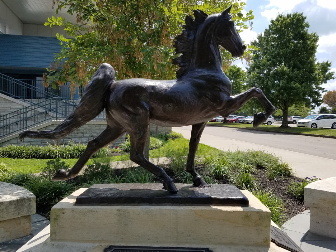 American Saddlebred Museum-列克星敦必去景点