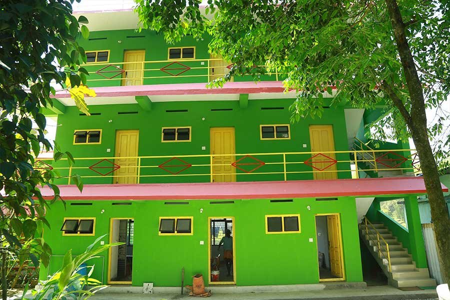 Greentree Homestay-官方