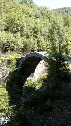 Ponte Della Pia景点图片