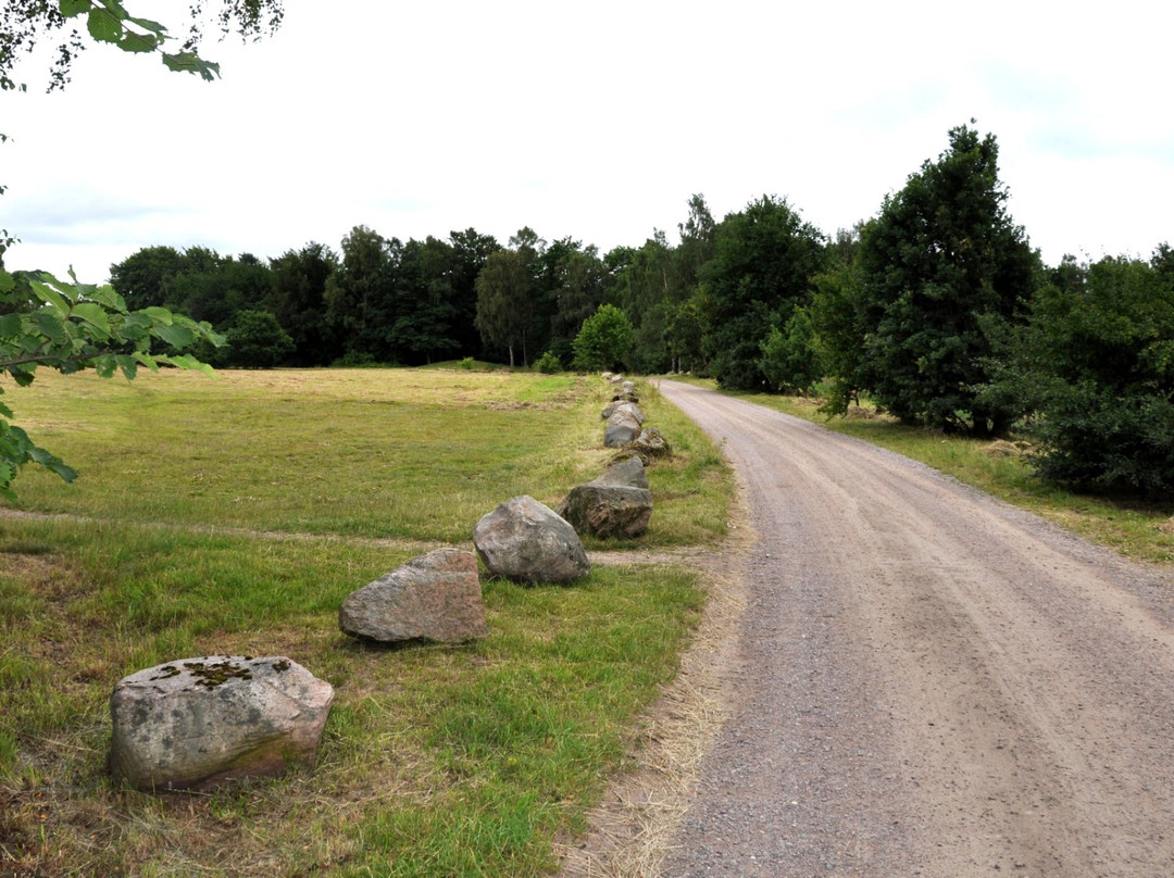 Ättekulla Naturreservat-赫尔辛堡必去景点