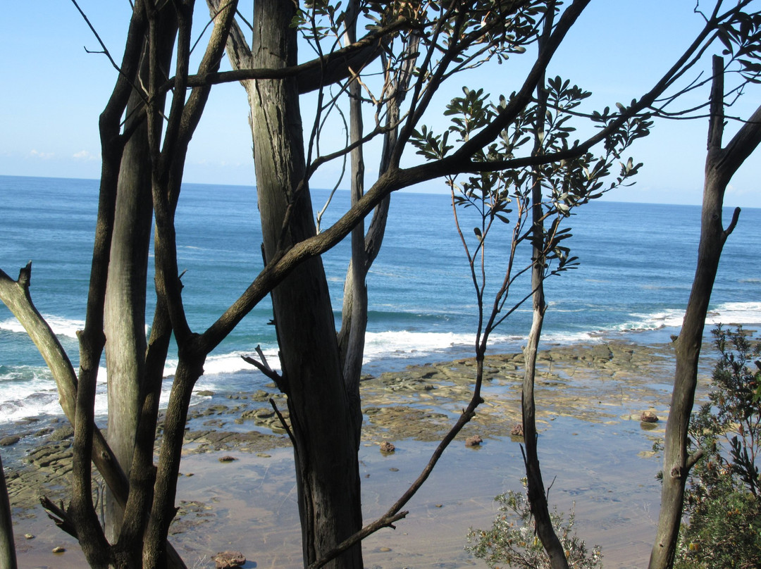 Crackneck Lookout Coast Walk-Bateau Bay必去景点