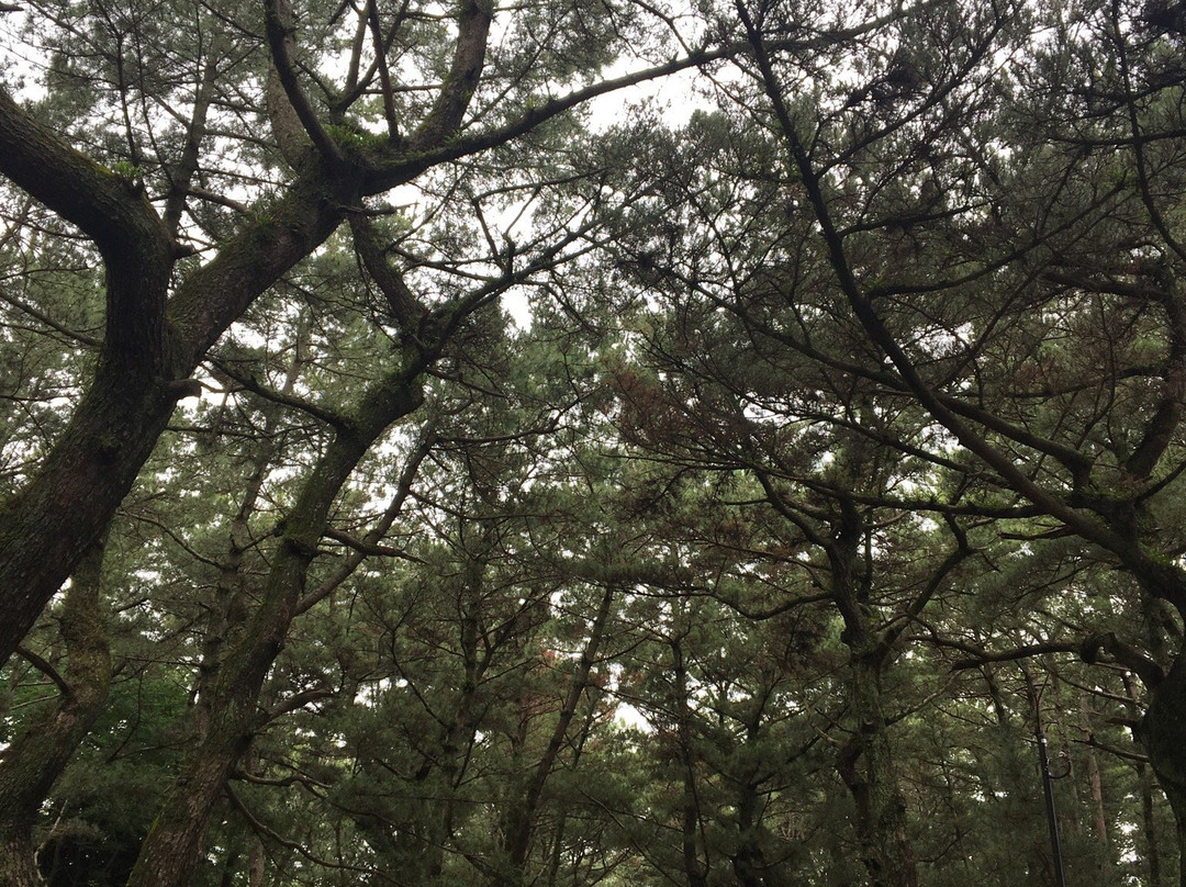 Himeno Matsubara景点图片