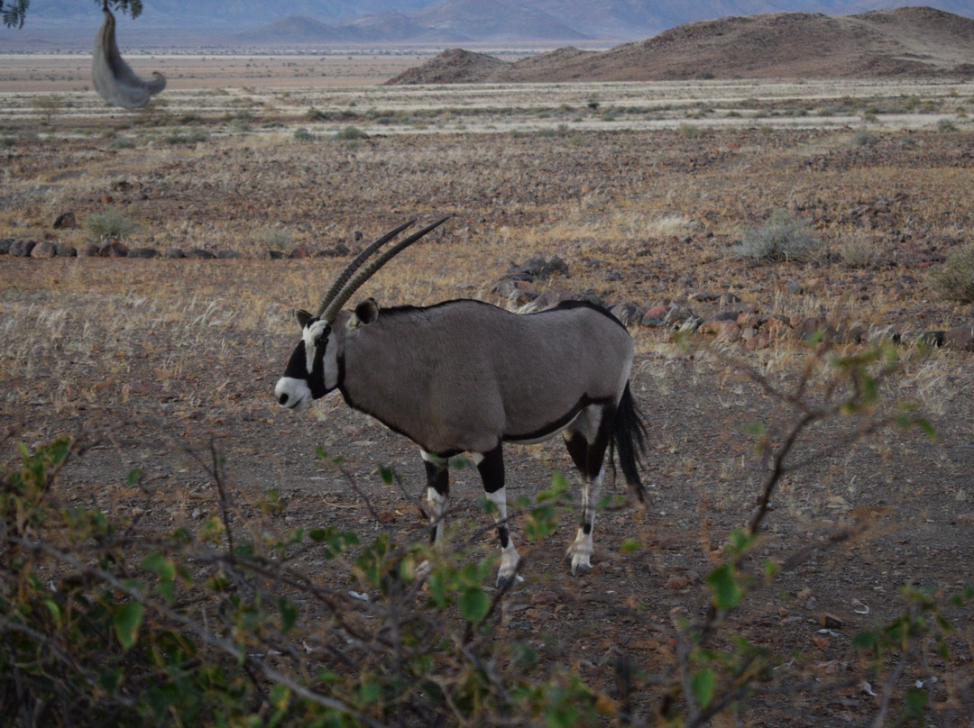 Nubib Mountain Guest Farm主图