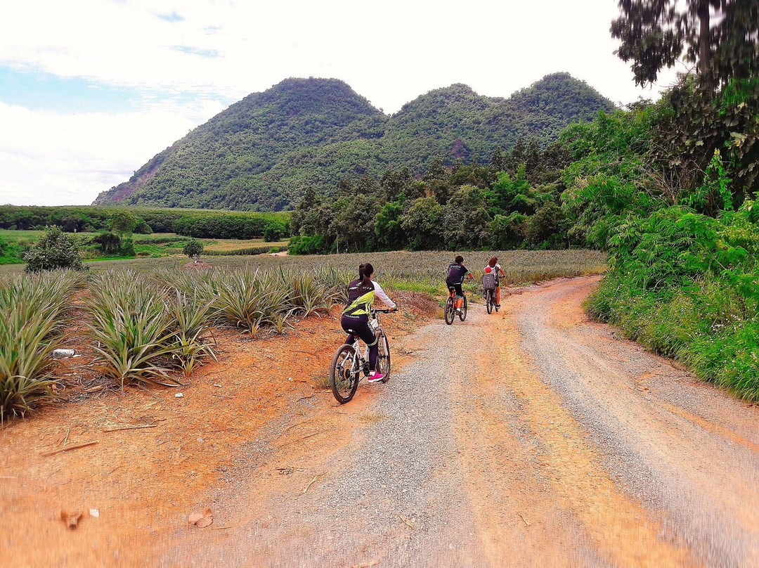 Chiangrai Bicycle Trip-清莱必去景点