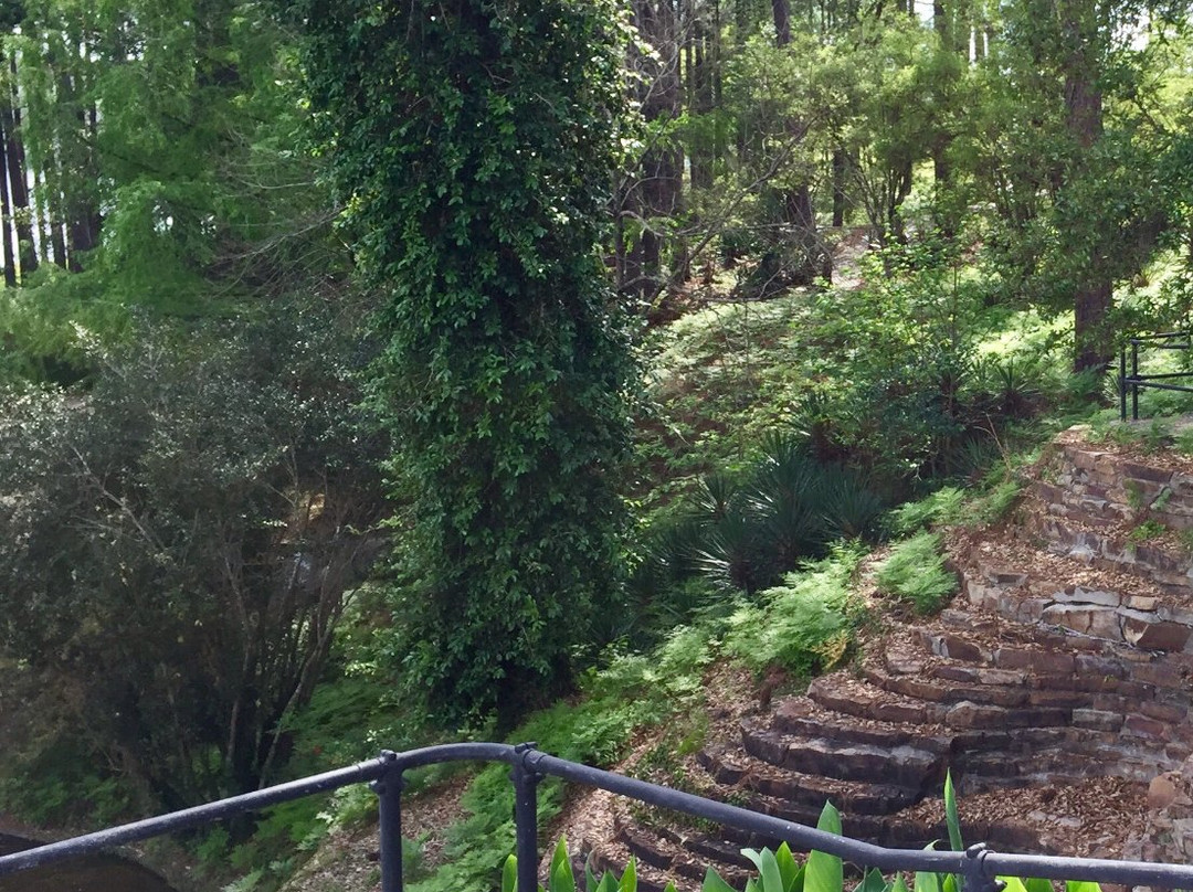Hodges Gardens景点图片