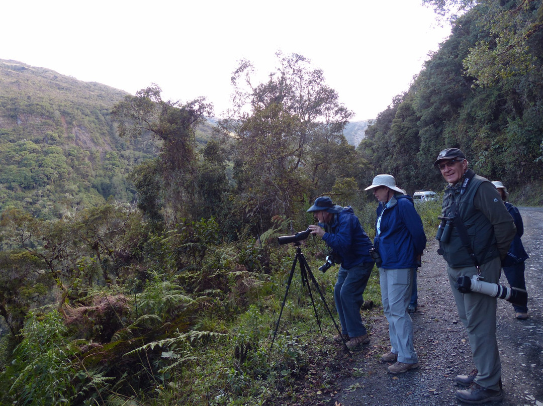 Now Peru Travel-马尔多纳多港必去景点