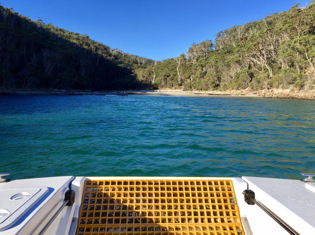 Three Capes Track-亚瑟港必去景点