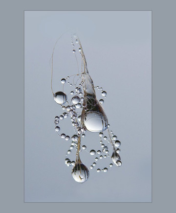 Wild Rose Gallery-Fort Davis必去景点