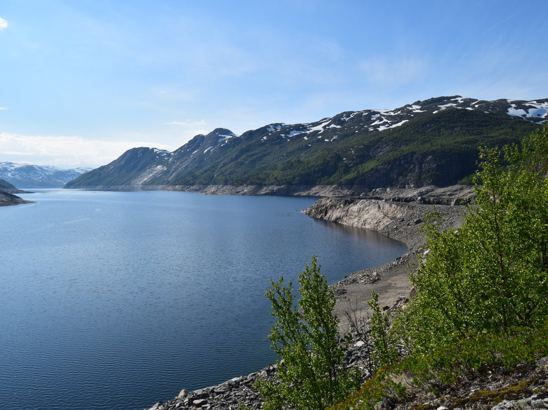 The Vatnedalen Dams景点图片