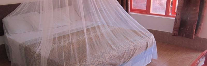 Miryams Village Inn Safari Lodge Limited.主图