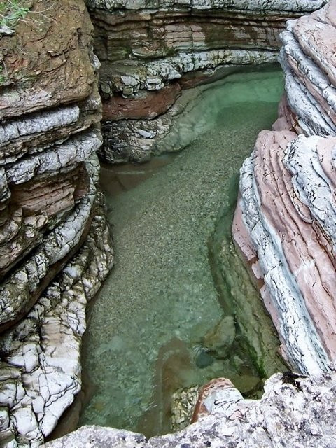 Forre del Torrente Ardo景点图片