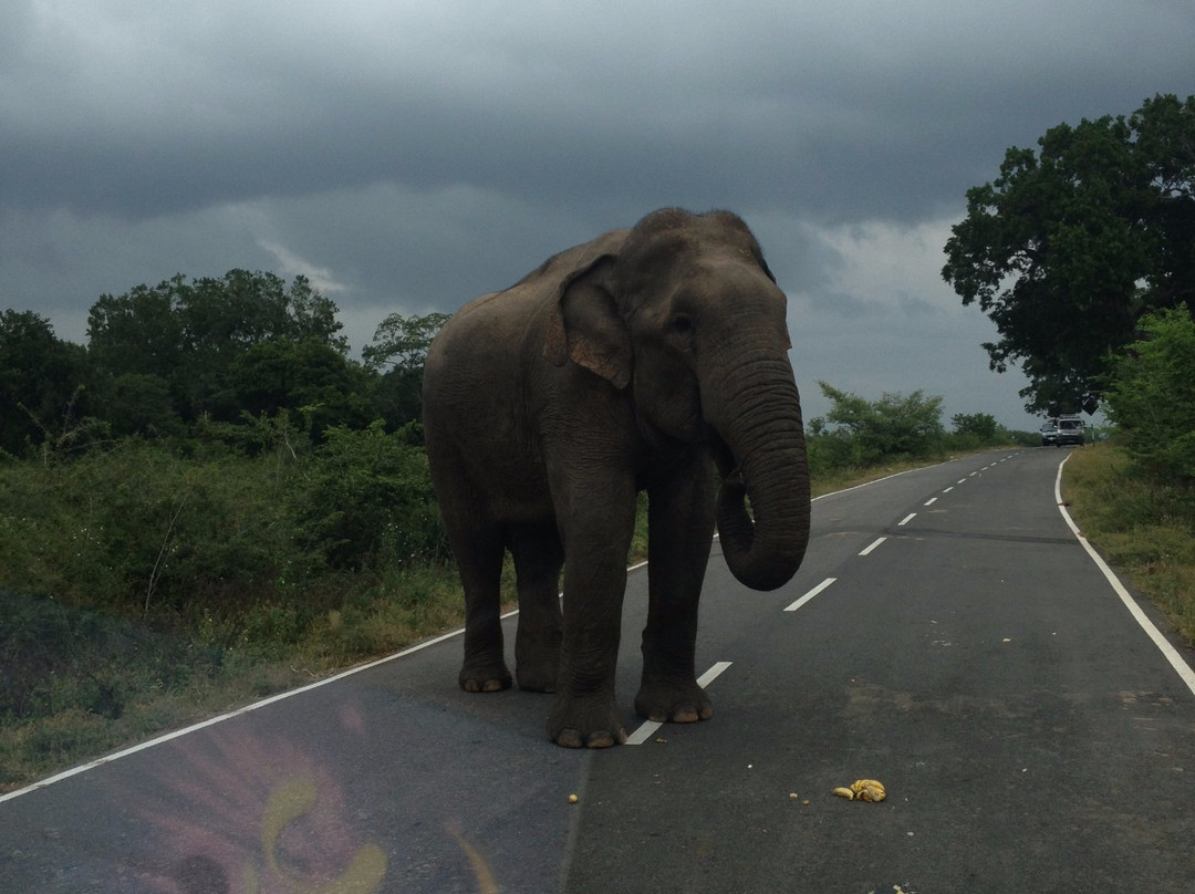 Yudaganawa-Buttala必去景点