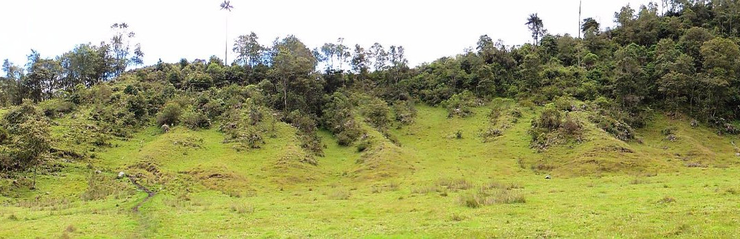 Cerro Machin景点图片