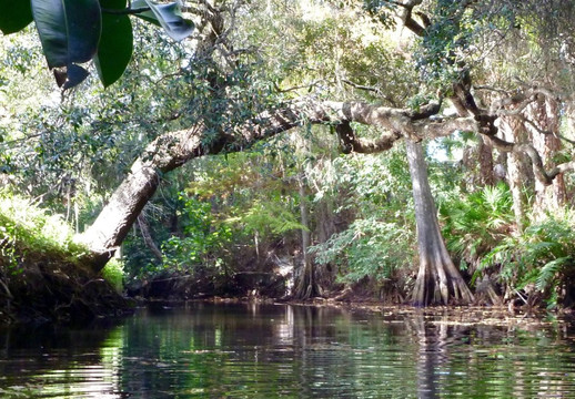 All About Water-博尼塔斯普林斯必去景点