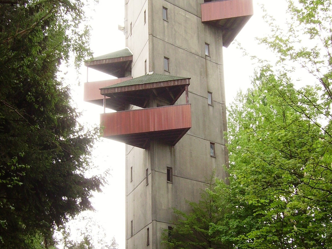 Aussichtsturm Rodlas-Hirschau必去景点