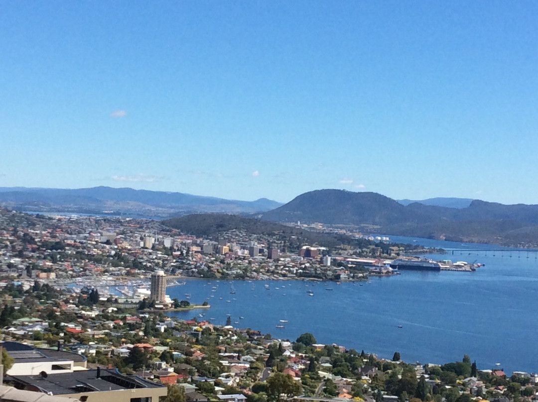 Love Tasmania Tours - Day Tours景点图片