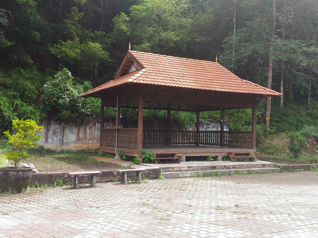 Rimba Bandar Bukit Bauk景点图片