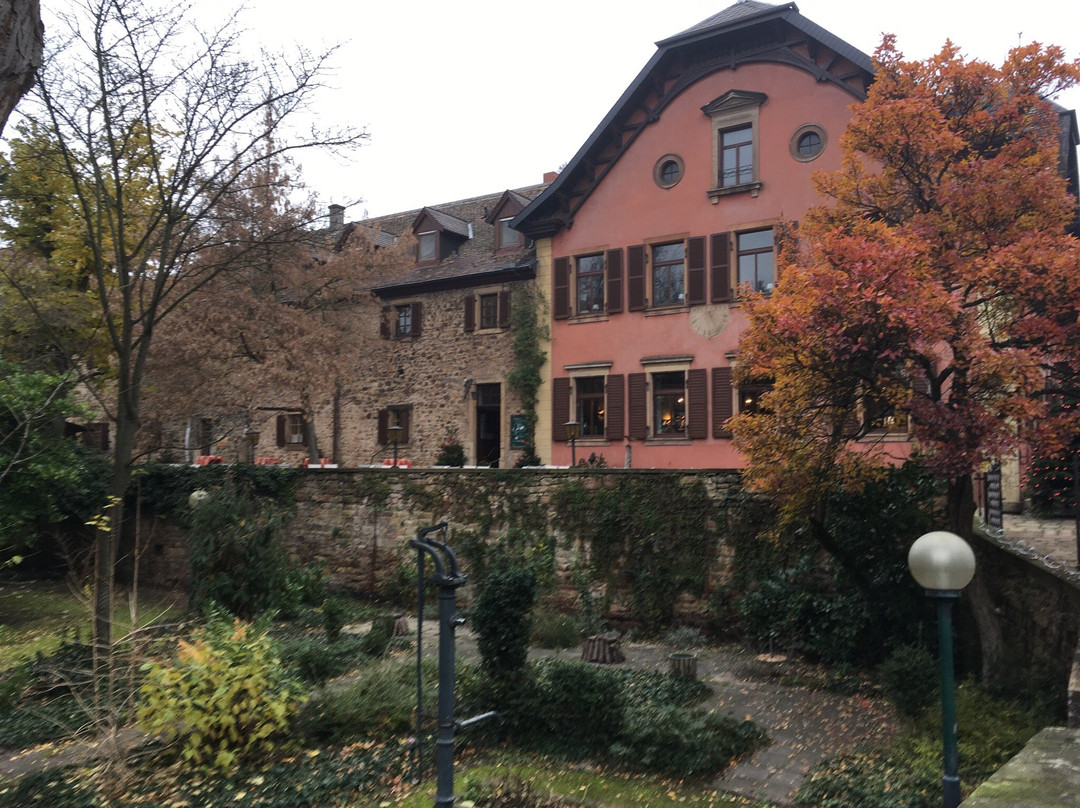 Schloss Deidesheim景点图片