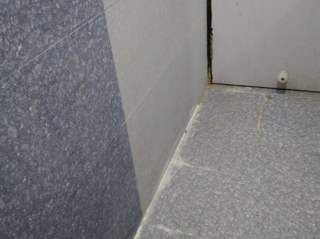 Hotel Satyam International主图