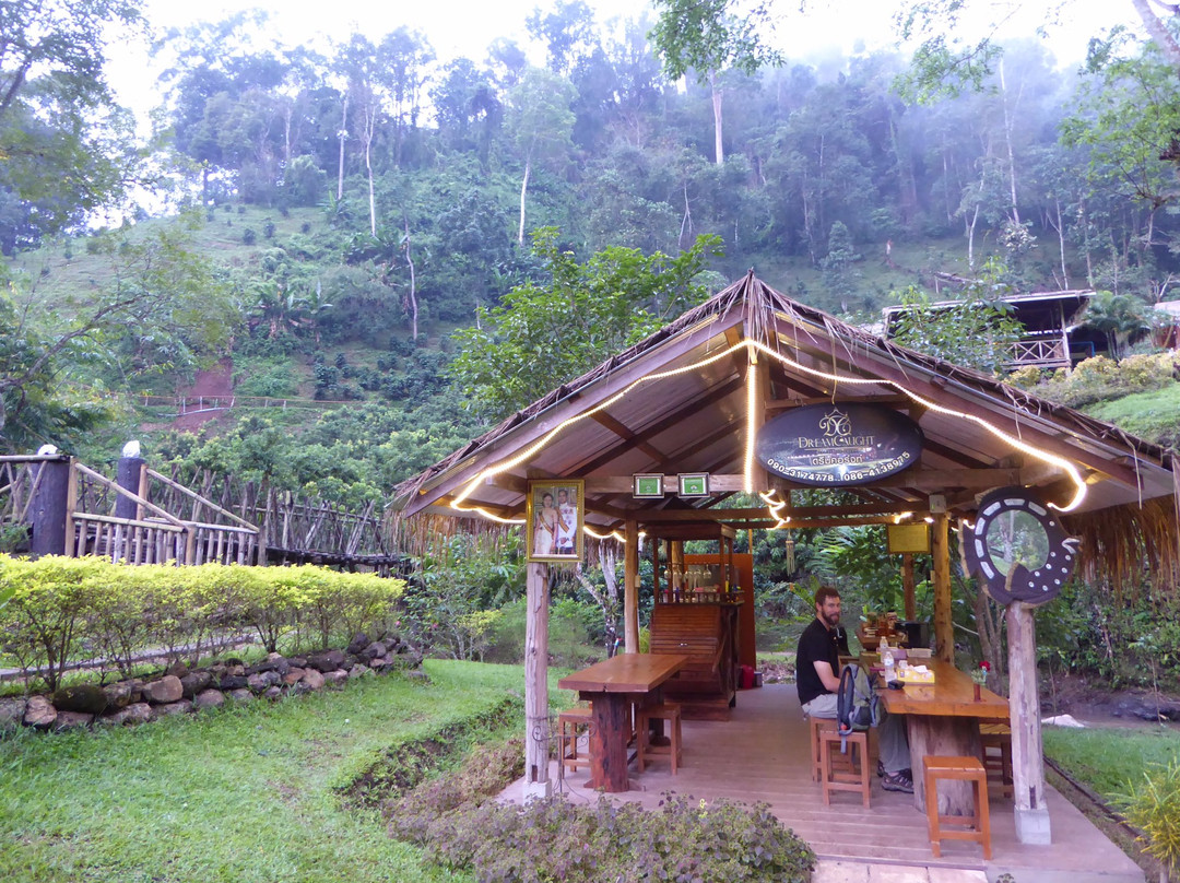 DreamCaught Treehouses