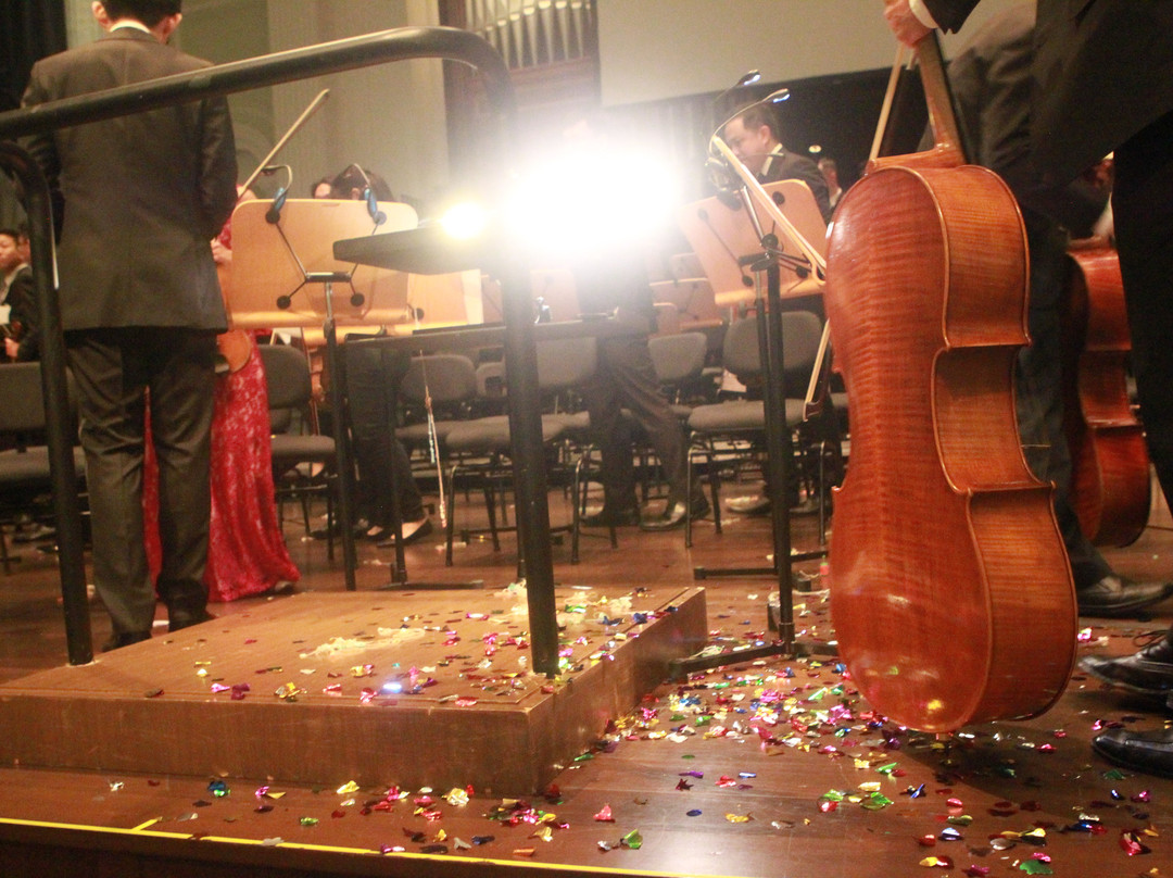 Singapore Symphony Orchestra-新加坡必去景点