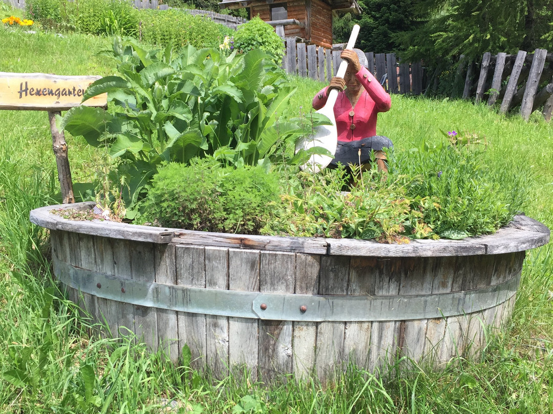 Senn's Wonder Walking Trail-圣安东阿尔山必去景点