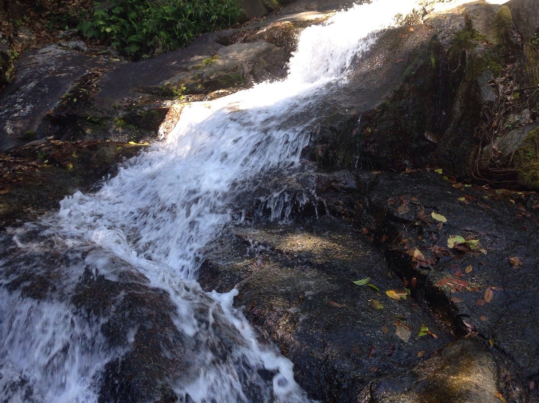 Wooroonooran National Park-Topaz必去景点
