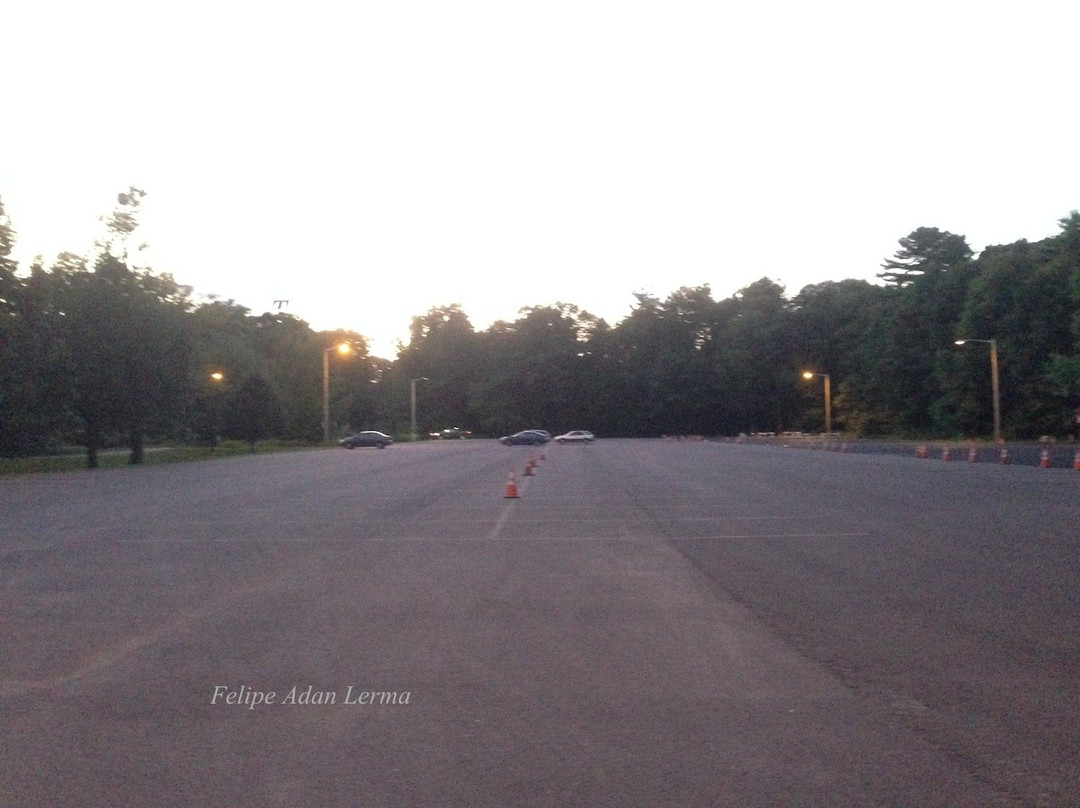 Leddy Park-伯灵顿必去景点