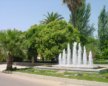 Jardín Municipal景点图片