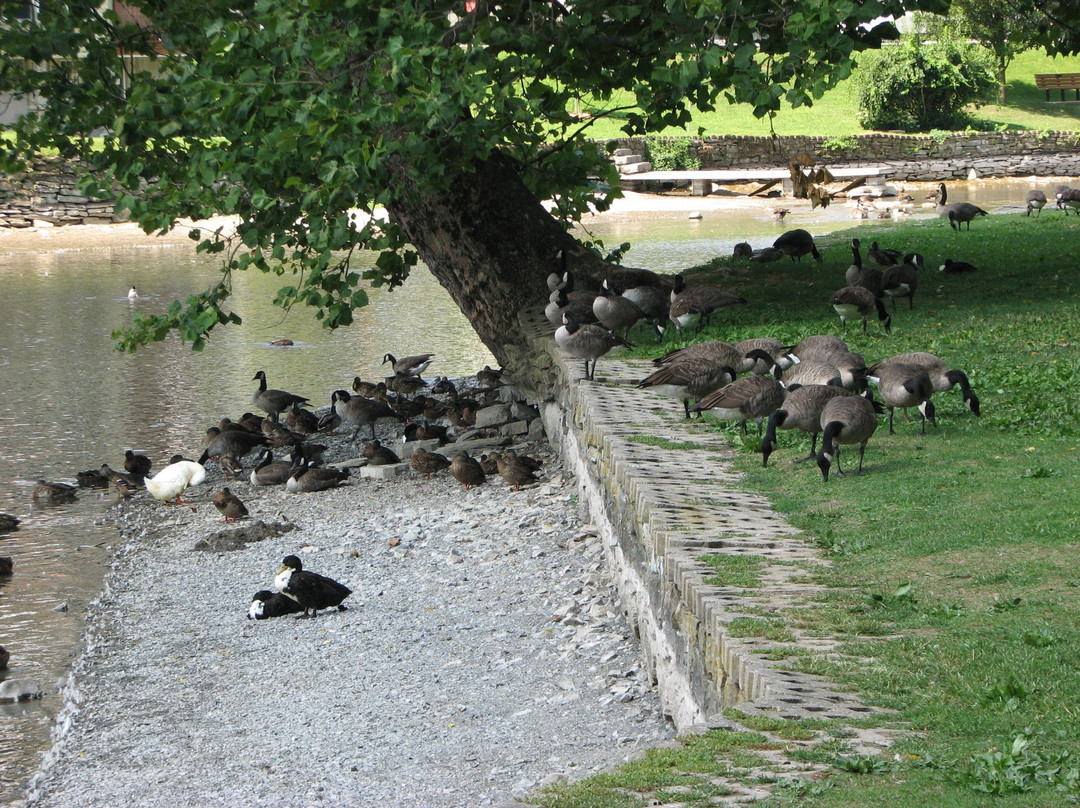 Children's Lake-Boiling Springs必去景点