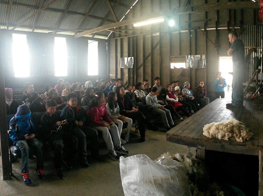 Mowbray Park Holidays-Picton必去景点