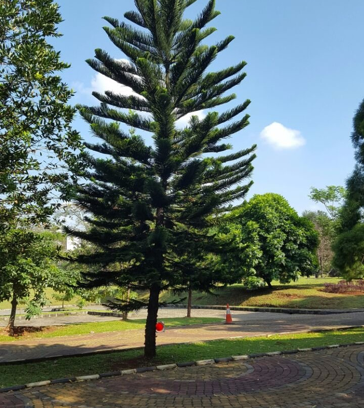 Universitas Indonesia-Depok必去景点