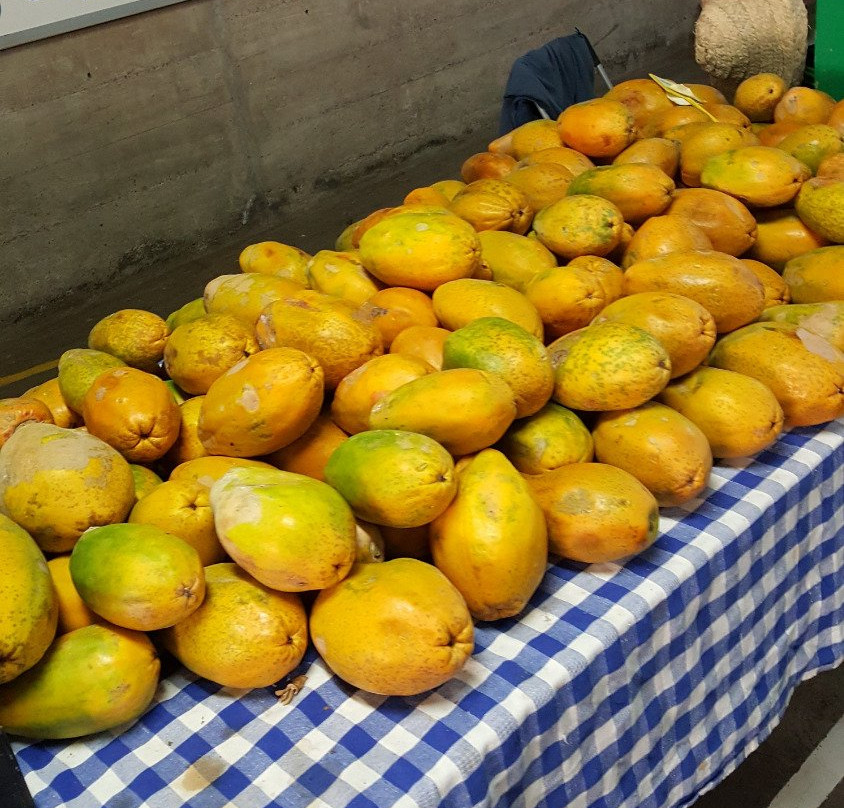 Mercado del Agricultor El Medano-El Medano必去景点
