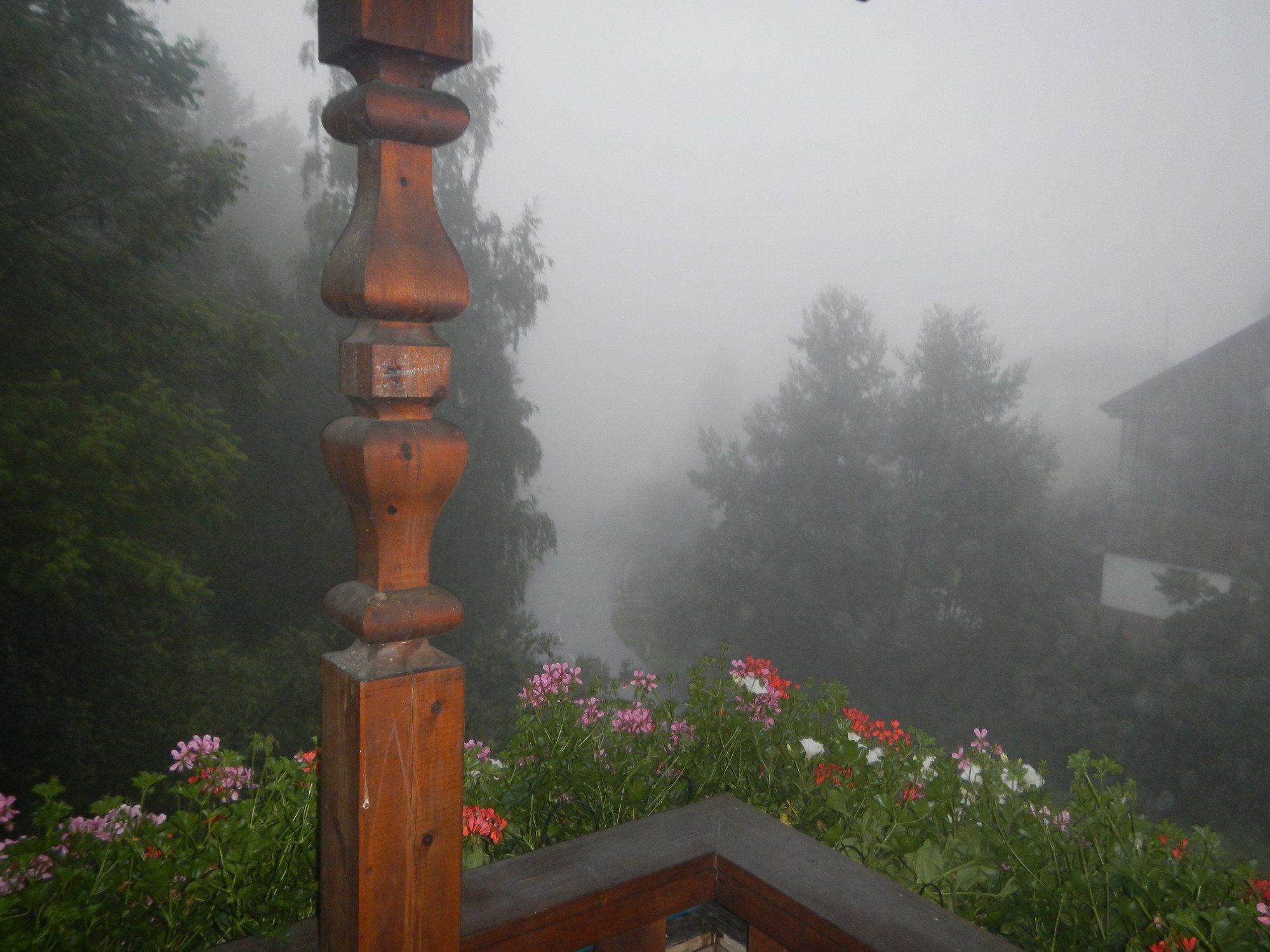 Gasthof Hirschen-酒店景观