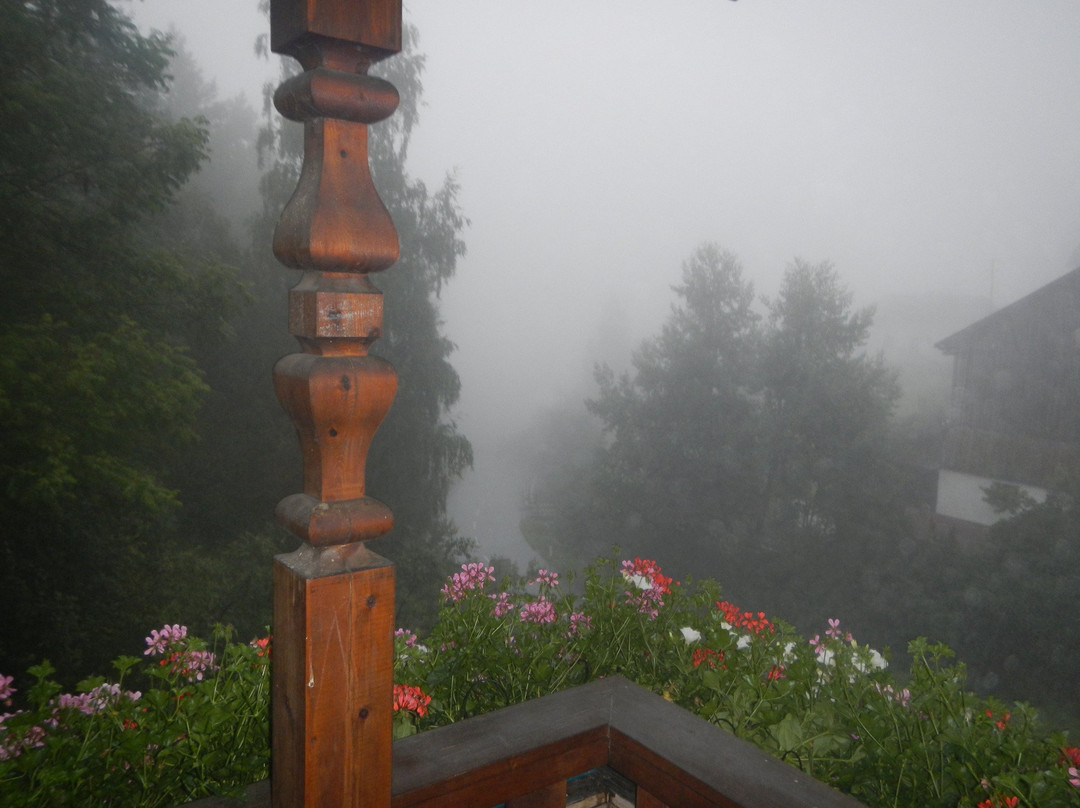 Gasthof Hirschen主图