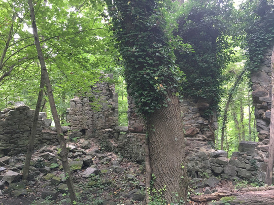 Windsor Mill旅游攻略图片