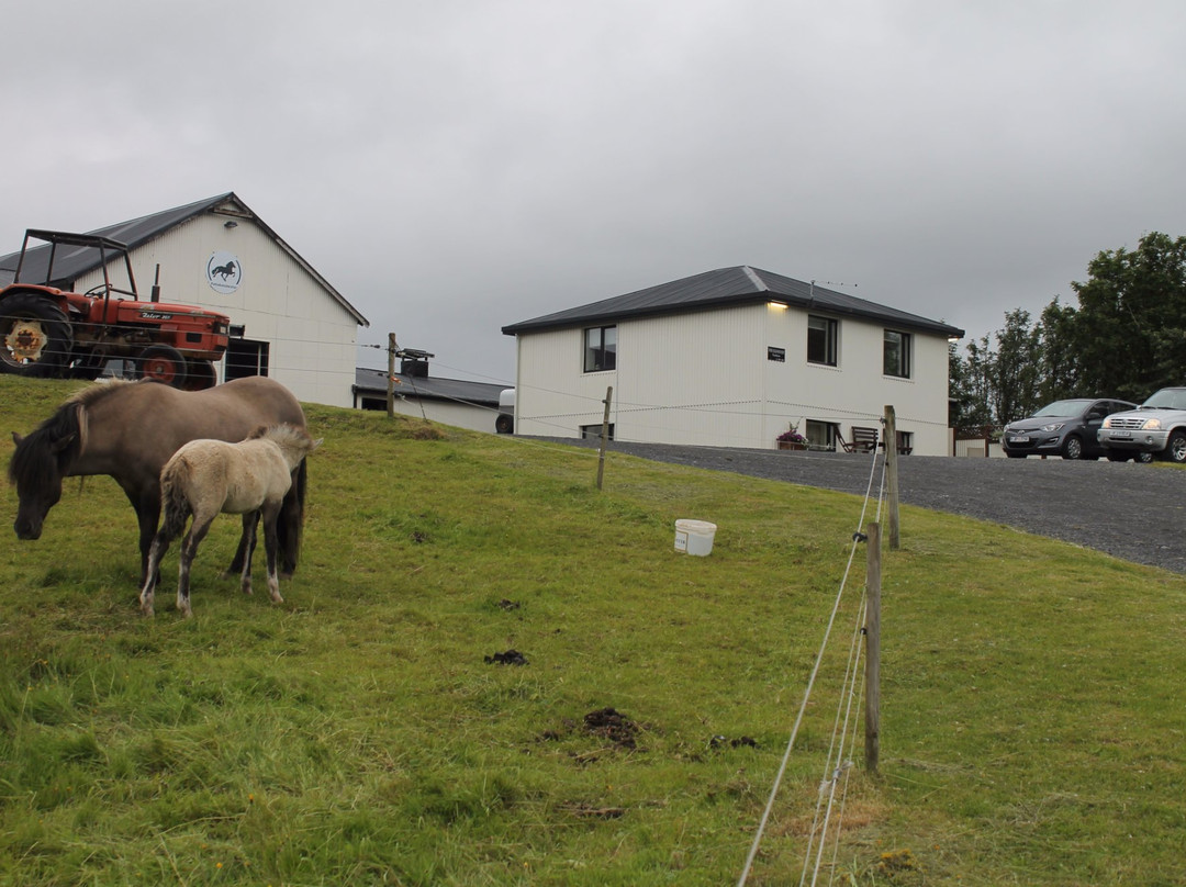 The Old House Fellskot主图