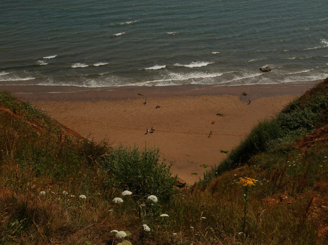 South West Coast Path National Trail-普利茅斯必去景点