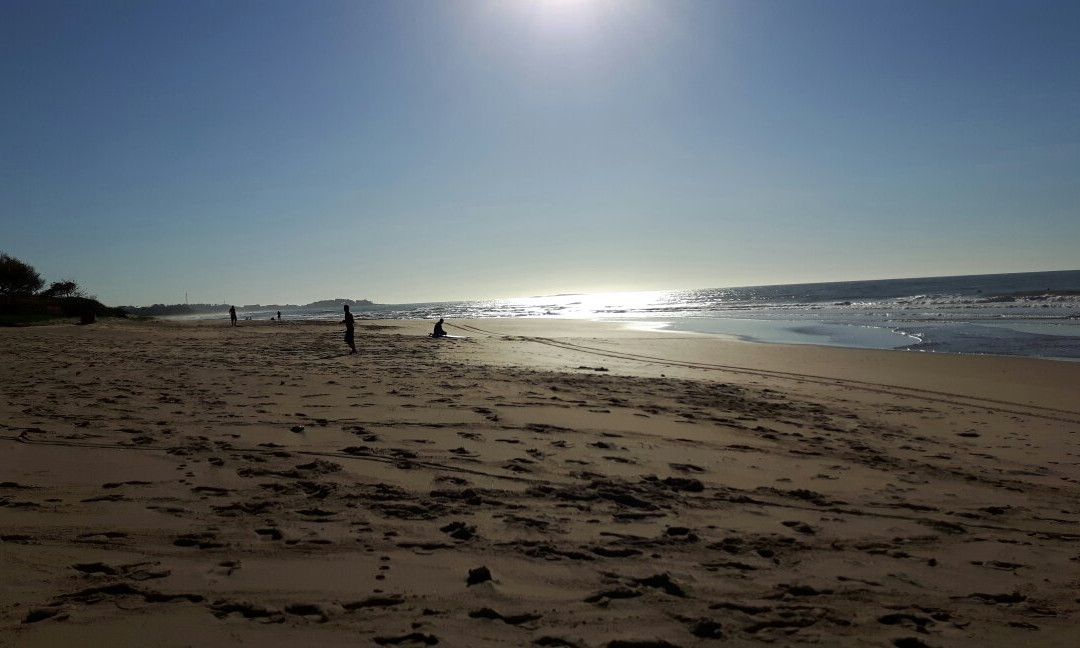 Renato Guimaraes Escola de Surf & Kitesurf景点图片