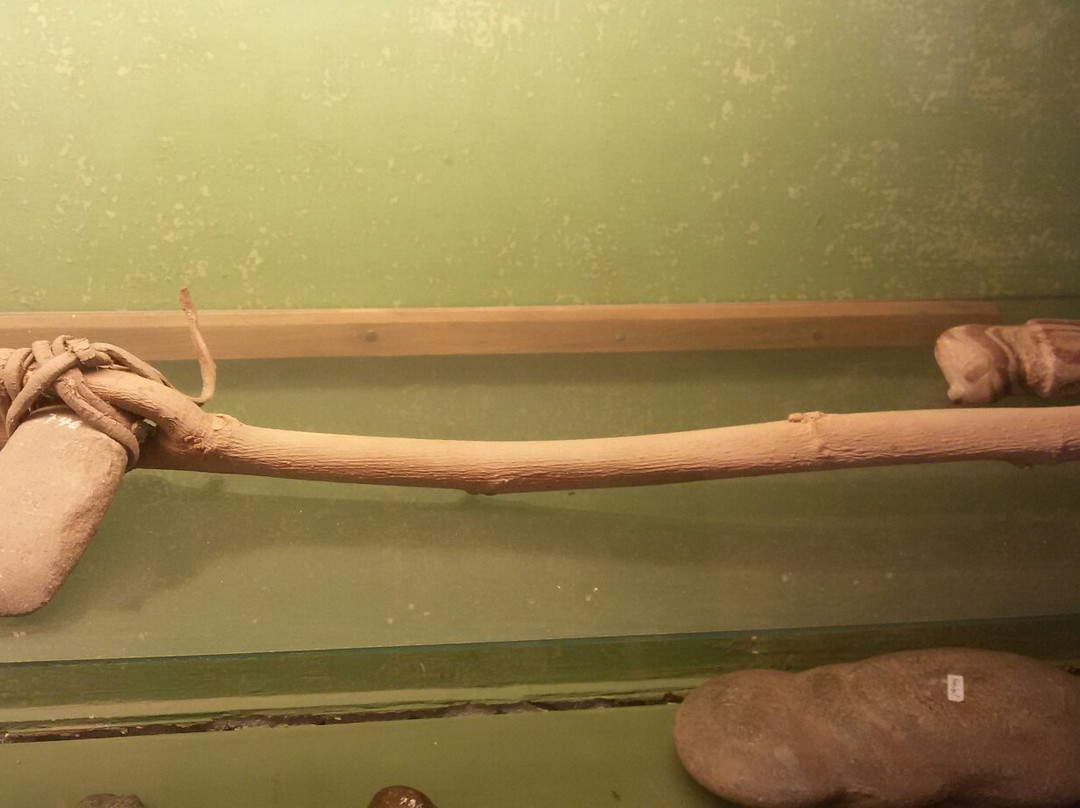 Museo Arqueologico Regional Inca Huasi景点图片