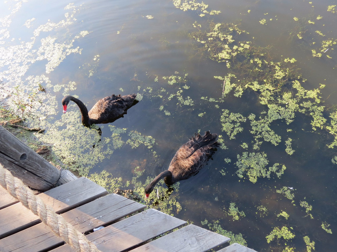 哈尔滨太阳岛冰雪艺术馆-哈尔滨市必去景点