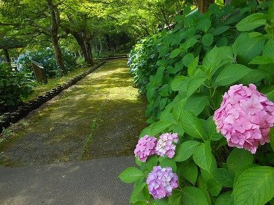 Entsuji Temple-丹波市必去景点
